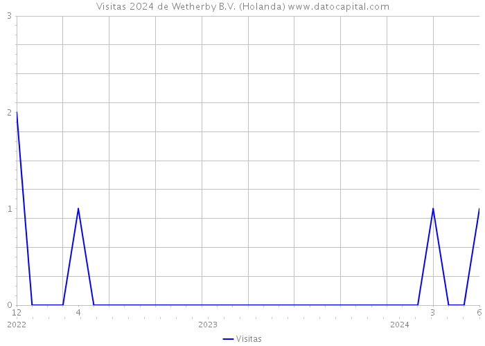 Visitas 2024 de Wetherby B.V. (Holanda) 