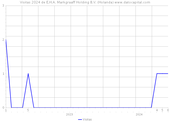 Visitas 2024 de E.H.A. Markgraaff Holding B.V. (Holanda) 