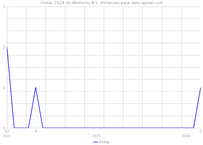 Visitas 2024 de Wetherby B.V. (Holanda) 