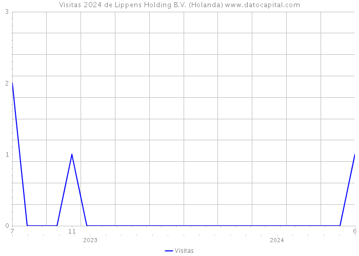 Visitas 2024 de Lippens Holding B.V. (Holanda) 