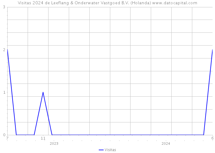 Visitas 2024 de Leeflang & Onderwater Vastgoed B.V. (Holanda) 