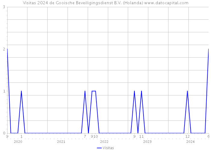 Visitas 2024 de Gooische Beveiligingsdienst B.V. (Holanda) 