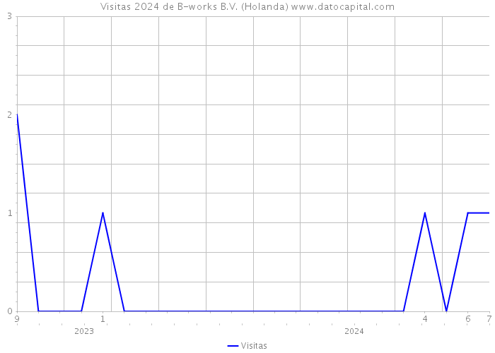 Visitas 2024 de B-works B.V. (Holanda) 