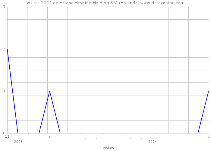 Visitas 2024 de Helena Heyning Holding B.V. (Holanda) 