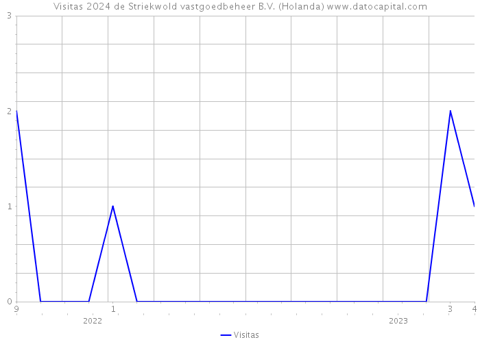 Visitas 2024 de Striekwold vastgoedbeheer B.V. (Holanda) 