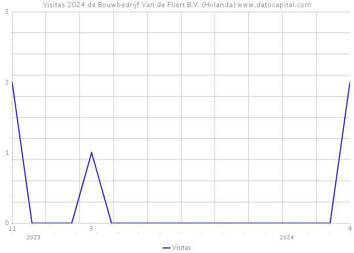 Visitas 2024 de Bouwbedrijf Van de Fliert B.V. (Holanda) 