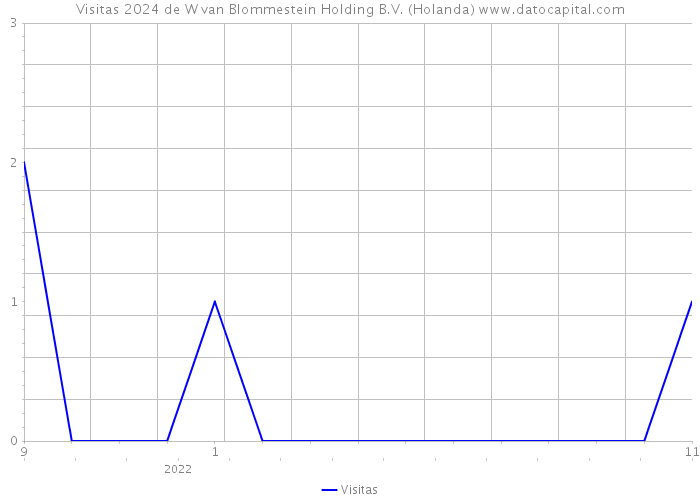 Visitas 2024 de W van Blommestein Holding B.V. (Holanda) 