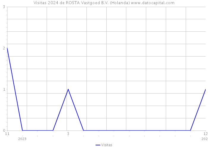 Visitas 2024 de ROSTA Vastgoed B.V. (Holanda) 