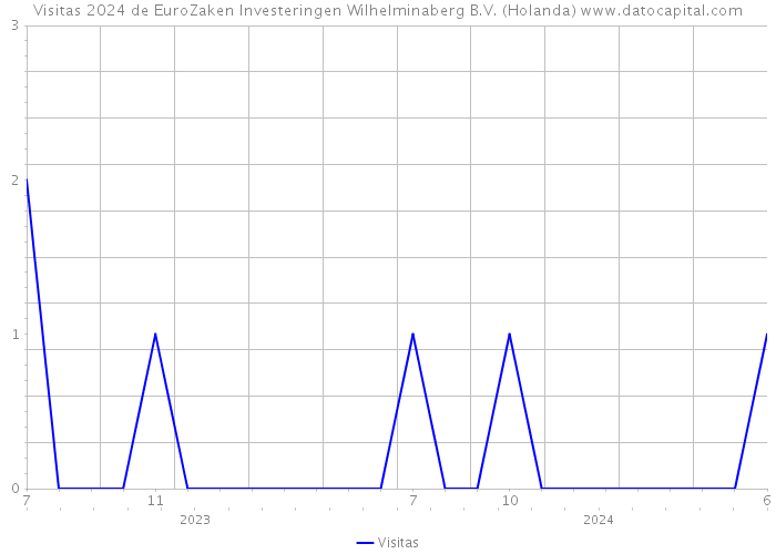 Visitas 2024 de EuroZaken Investeringen Wilhelminaberg B.V. (Holanda) 