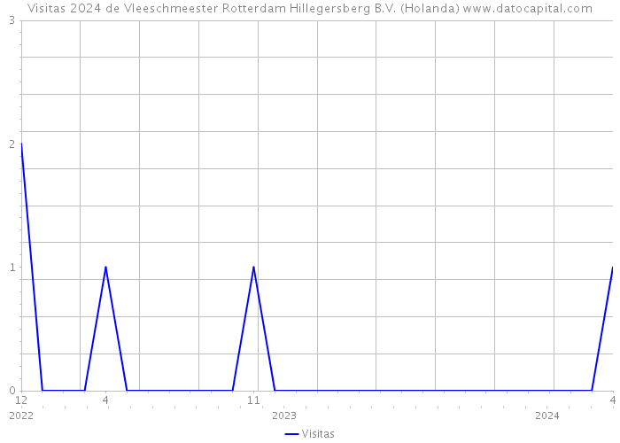 Visitas 2024 de Vleeschmeester Rotterdam Hillegersberg B.V. (Holanda) 