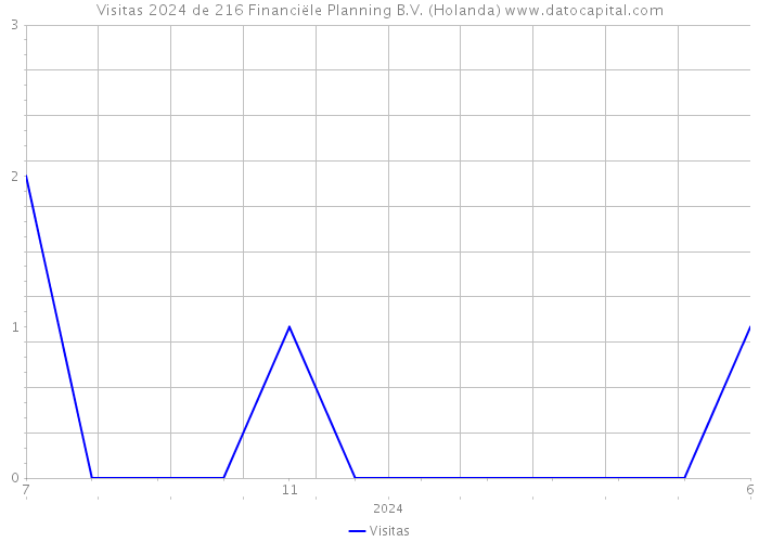 Visitas 2024 de 216 Financiële Planning B.V. (Holanda) 