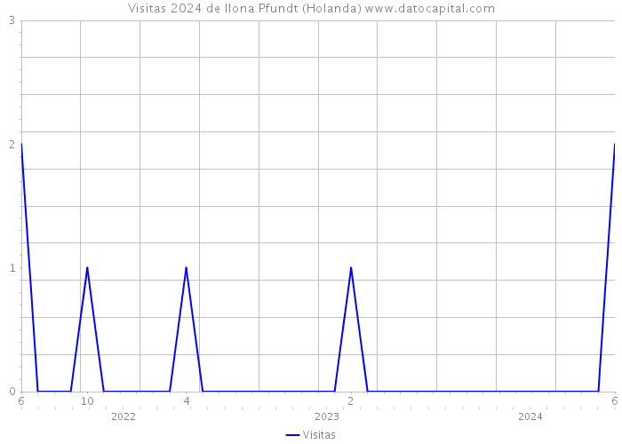 Visitas 2024 de Ilona Pfundt (Holanda) 