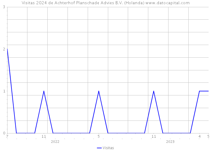 Visitas 2024 de Achterhof Planschade Advies B.V. (Holanda) 