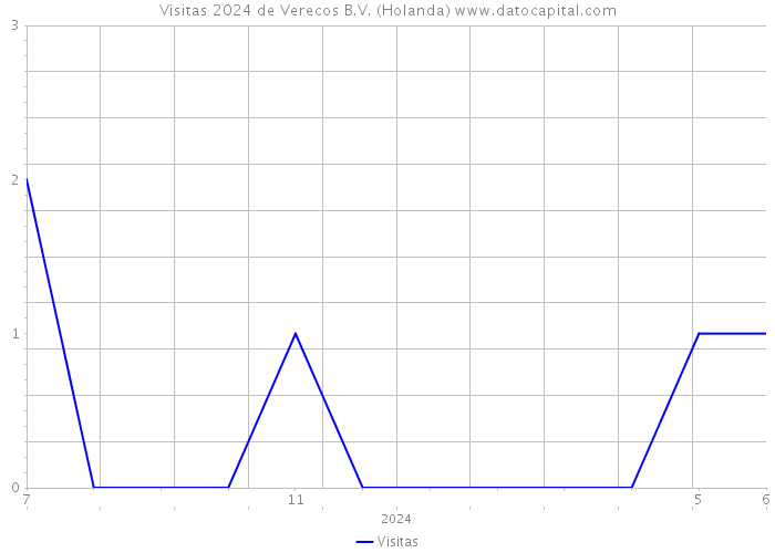 Visitas 2024 de Verecos B.V. (Holanda) 