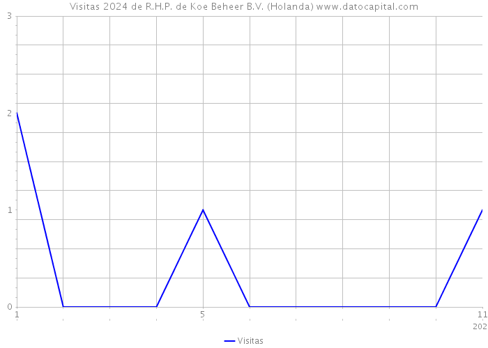 Visitas 2024 de R.H.P. de Koe Beheer B.V. (Holanda) 