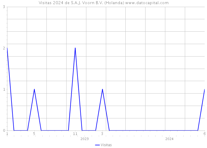 Visitas 2024 de S.A.J. Voorn B.V. (Holanda) 