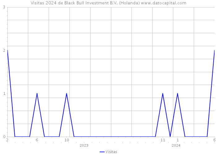 Visitas 2024 de Black Bull Investment B.V. (Holanda) 
