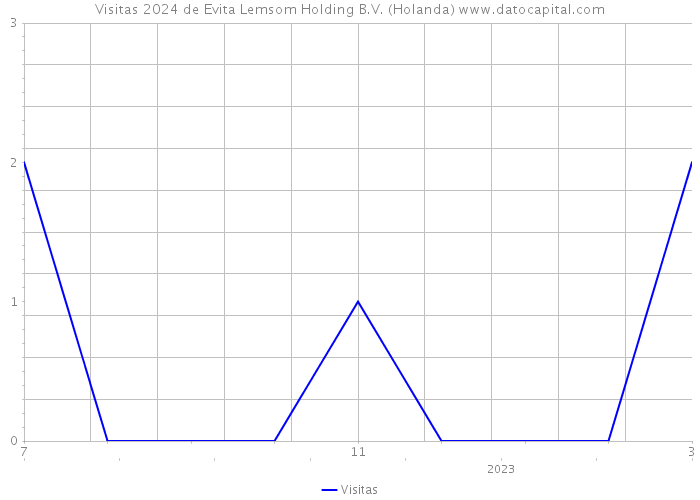 Visitas 2024 de Evita Lemsom Holding B.V. (Holanda) 