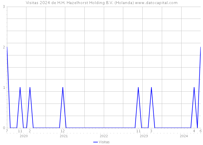 Visitas 2024 de H.H. Hazelhorst Holding B.V. (Holanda) 