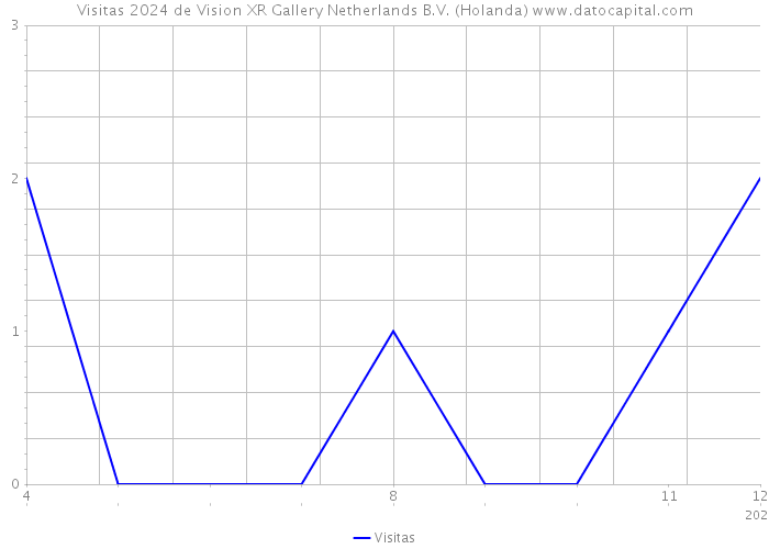 Visitas 2024 de Vision XR Gallery Netherlands B.V. (Holanda) 