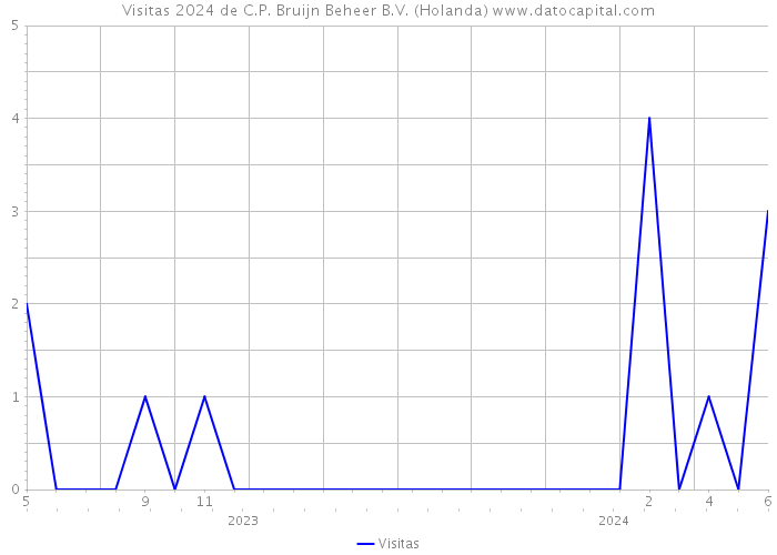 Visitas 2024 de C.P. Bruijn Beheer B.V. (Holanda) 