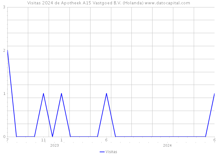 Visitas 2024 de Apotheek A15 Vastgoed B.V. (Holanda) 