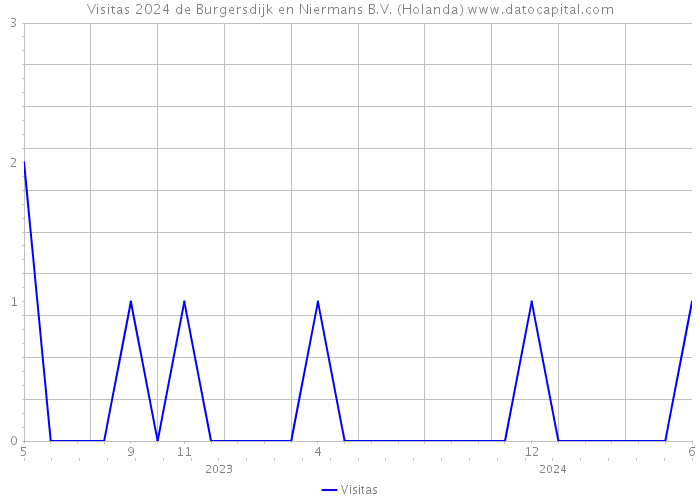 Visitas 2024 de Burgersdijk en Niermans B.V. (Holanda) 