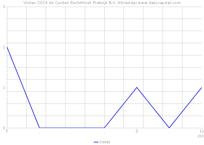 Visitas 2024 de Gulden RechtHoek Praktijk B.V. (Holanda) 