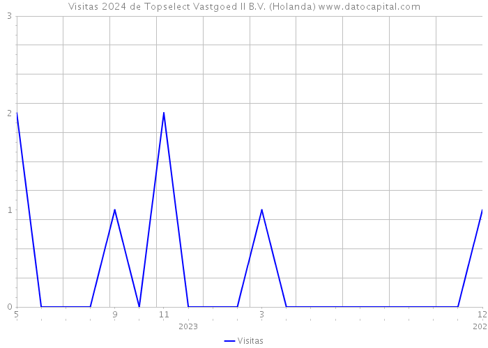 Visitas 2024 de Topselect Vastgoed II B.V. (Holanda) 