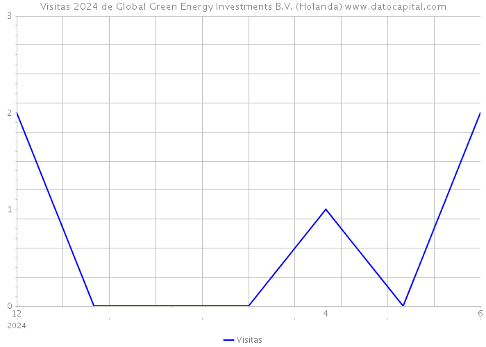 Visitas 2024 de Global Green Energy Investments B.V. (Holanda) 