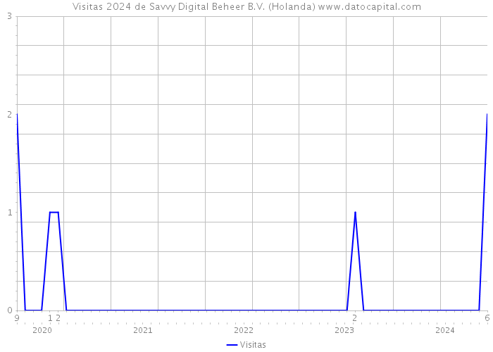 Visitas 2024 de Savvy Digital Beheer B.V. (Holanda) 