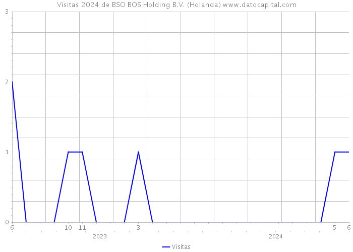 Visitas 2024 de BSO BOS Holding B.V. (Holanda) 