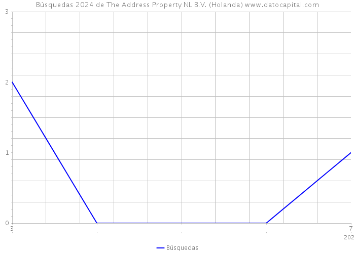Búsquedas 2024 de The Address Property NL B.V. (Holanda) 