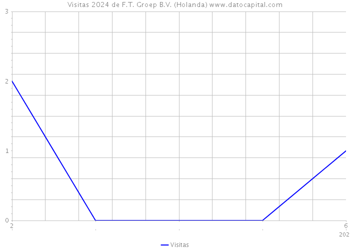 Visitas 2024 de F.T. Groep B.V. (Holanda) 