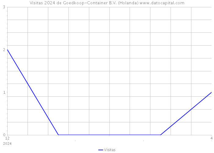 Visitas 2024 de Goedkoop-Container B.V. (Holanda) 