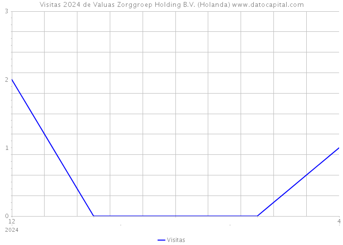 Visitas 2024 de Valuas Zorggroep Holding B.V. (Holanda) 