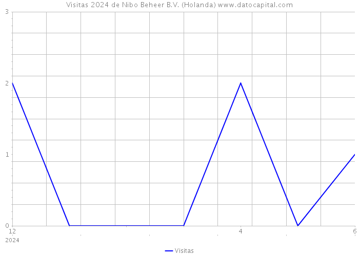 Visitas 2024 de Nibo Beheer B.V. (Holanda) 