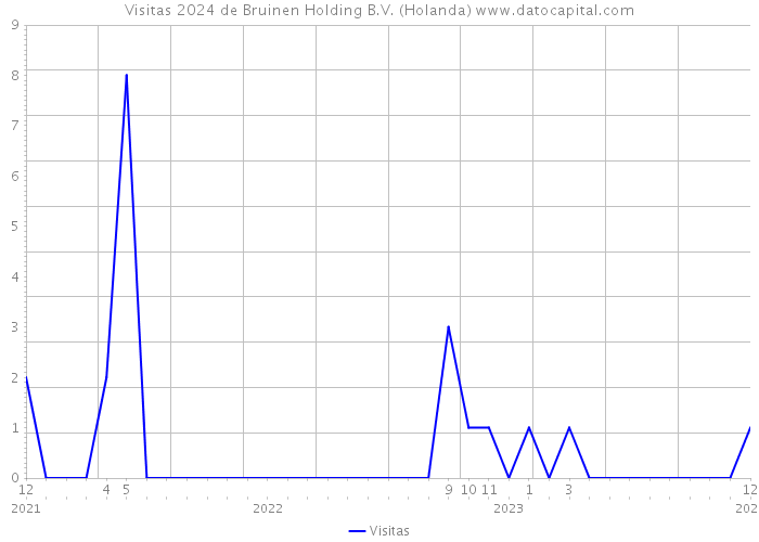 Visitas 2024 de Bruinen Holding B.V. (Holanda) 