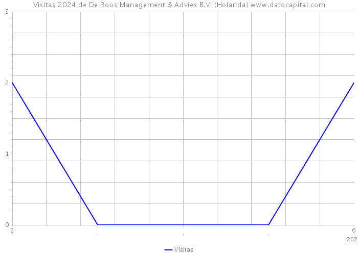 Visitas 2024 de De Roos Management & Advies B.V. (Holanda) 