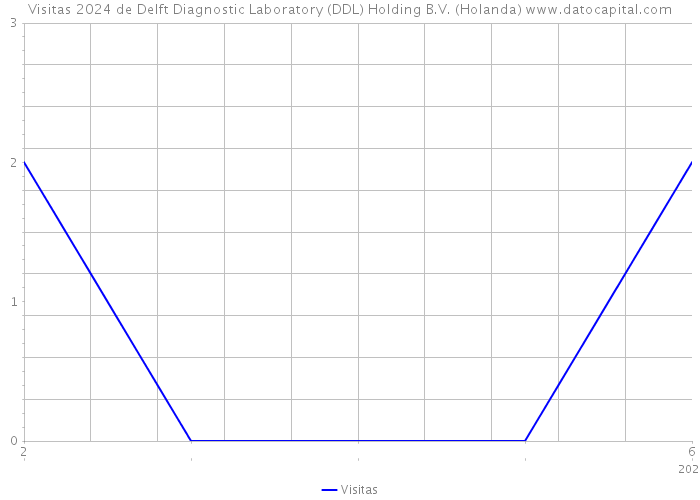 Visitas 2024 de Delft Diagnostic Laboratory (DDL) Holding B.V. (Holanda) 