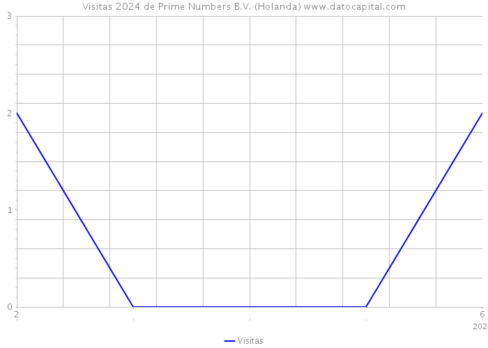 Visitas 2024 de Prime Numbers B.V. (Holanda) 