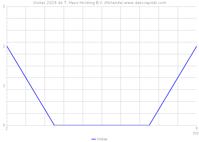 Visitas 2024 de T. Haze Holding B.V. (Holanda) 