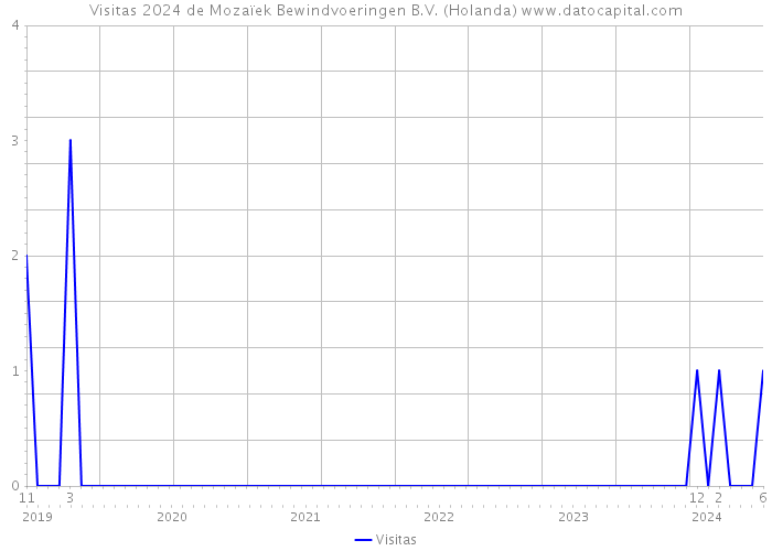 Visitas 2024 de Mozaïek Bewindvoeringen B.V. (Holanda) 