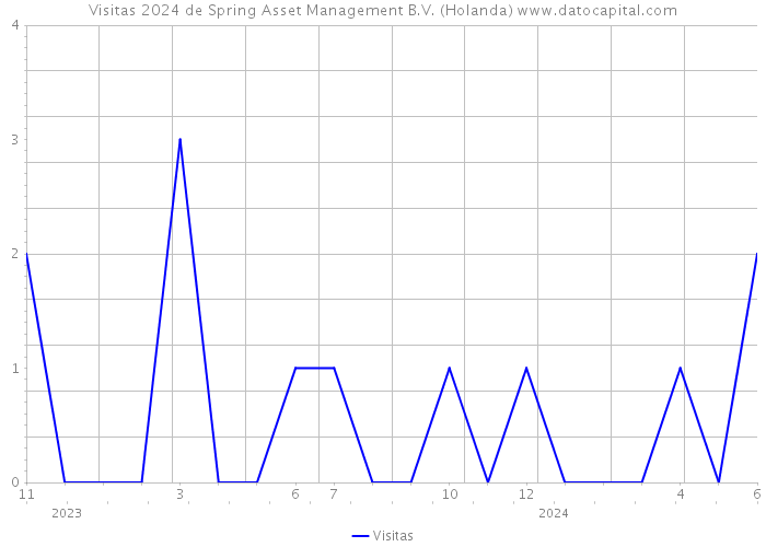 Visitas 2024 de Spring Asset Management B.V. (Holanda) 