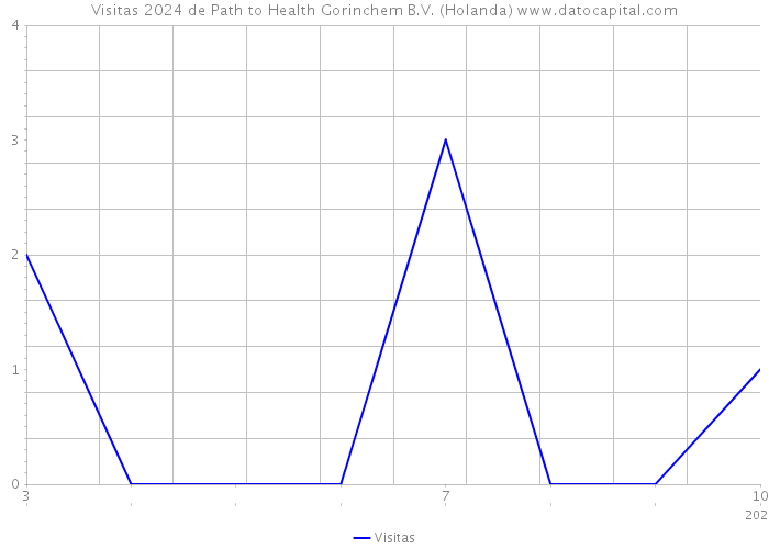 Visitas 2024 de Path to Health Gorinchem B.V. (Holanda) 