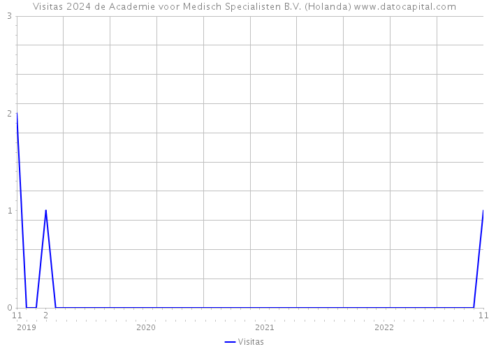 Visitas 2024 de Academie voor Medisch Specialisten B.V. (Holanda) 