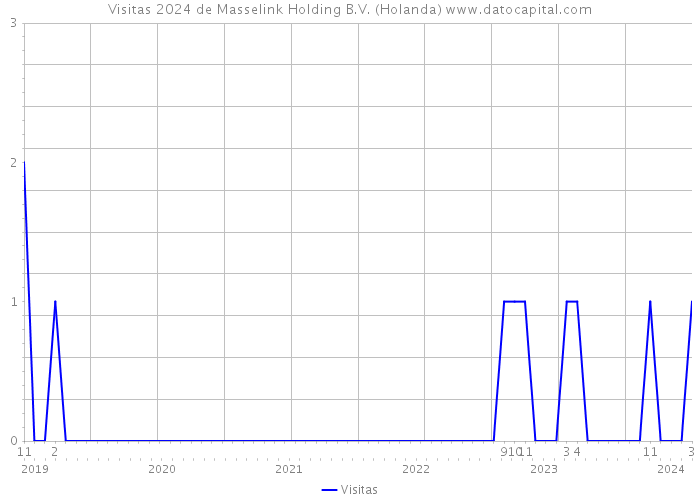 Visitas 2024 de Masselink Holding B.V. (Holanda) 