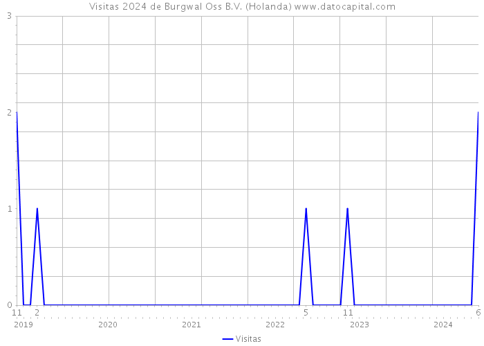 Visitas 2024 de Burgwal Oss B.V. (Holanda) 