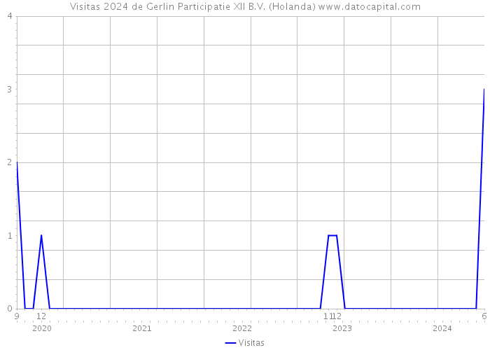 Visitas 2024 de Gerlin Participatie XII B.V. (Holanda) 