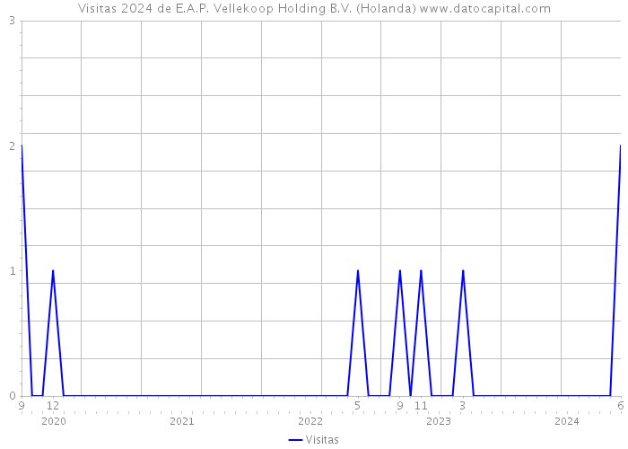 Visitas 2024 de E.A.P. Vellekoop Holding B.V. (Holanda) 